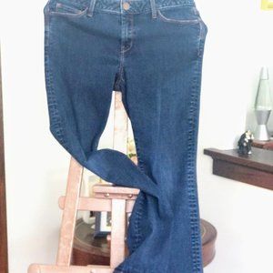 Blue Jeans Banana Republic Brand Size 6 or 28P